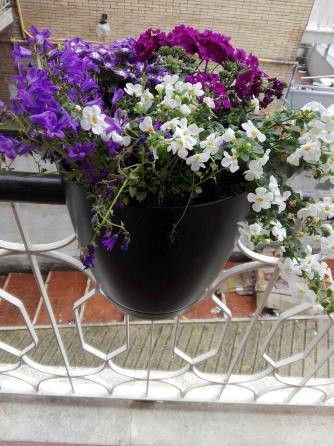 Interno 1 Ciampino Roma Luxury Apartment Con Balcone Luaran gambar